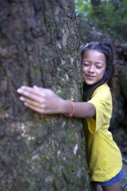 Grundschülerin und Teilnehmerin eine Sozialkompetenztraining bei Teamprofi.Schule, mitten im Wald., umarmt einen Baum